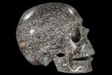 Polished Skull of Crinoidal Limestone #116419-4
